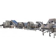 Laveuses industrielles alimentaires - Tecnoceam - 500 à 5000 kg/h - lavage à barbotage avec extraction par ruban percé_3