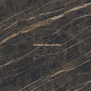 Meuble 4 portes Bloom - Quadrifoglio. - Noir désire brillant, Or, Laqué anthracite / noir désire brillant_3