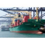 CBW 2800-40 Grues de bord - Liebherr - relevage de flèche par vérin hydraulique, vue dégagée et faible hauteur_3