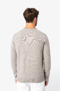 Pull écoresponsable en laine mérinos homme - Native Spirit - Réf: NS910 - Coton biologique et laine responsable RWS_3