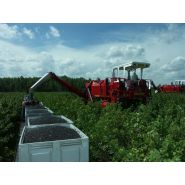 Récolteuse à baies VICTOR - Weremczuk - automotrice, productivité 0,3 à 0,6 ha/h - vitesse max 2 km/h_3
