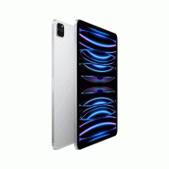 IPad Pro 11p M2 2To Wifi + Cellular - Argent_3