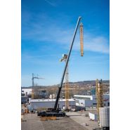 Grue LTM 1230-5.1 idéale pour l'entretien d'éoliennes