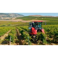 Maniabilité et respect des raisins avec la machine à vendanger ERO