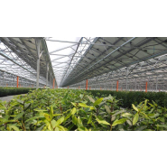 Serre photovoltaïque à faîtage droit et double pente - Multisunart_3