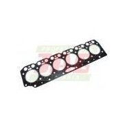 04209895 Joint de tête Deutz Fahr BF6M1012E - Référence PT-73-423.01 - Compatible Massey Ferguson et Landini_3