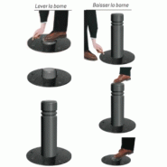 Borne escamotable CITY_3