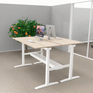 Bureau bench réglable en hauteur UP - Mobel Linea - Oui, 180, Blanc, Acacia clair_0