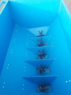 Planteuse maraichère / légumière Krukowiak bulbilles 5 rangs - En occasion_3