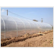 Serre tunnel PRO-SER 700 avec pignons ouvrants et portes coulissantes