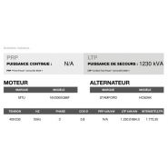 AT-1235 50 Hz triphasé - Groupe électrogène en container Inmesol - 1.230 kVA - Automatique de secours sans inverseur_3