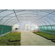 Tunnel de culture maraîchère avec renforts de faîtage