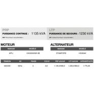 At-1260 50 hz triphasé groupe électrogène en container - inmesol - 1.230,0 kva