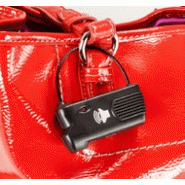 Protection antivol magnétique avec câble - 3 alarmes - 10,16 cm - am