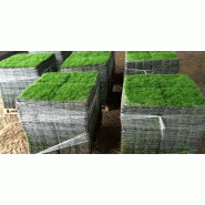 Solution de dalles pré-engazonnées pour parkings écologiques