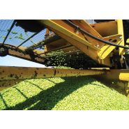 Arracheuse Oxbo 6170 - OxboCorp - trémie 2270 kg - moteur 450 HP - récolte pois, haricots lima et Garbanzo_3