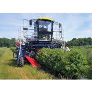 Récolteuse automotrice de baies OSKAR 4WD - Jagoda JPS - Productivité 0,5 ha/h - Précision jusqu'à 98% - Moteur Doosan 74 CV_3