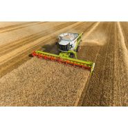 Moissonneuse-batteuse CLAAS Lexion 780-740 - Trémie 12800L - APS Hybrid System_3