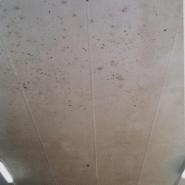 Revêtement léger en PVC pour plafonds professionnels