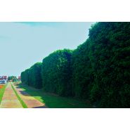 Coco wall - cloison acoustique - noise solutions bv - insonorisante_3