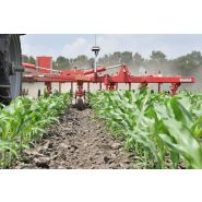 Chopstar 5-90 - Bineuse agricole Einböck pour inter-rangs jusqu'à 90 cm avec dents vibro_3