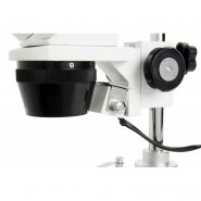 Labs S10-60 - Loupe binoculaire Celestron - Grossissement 10x à 60x - Idéal pour étudiants et amateurs_3