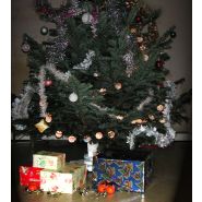 Support tournant pour sapin de Noël en vitrine ou à domicile