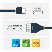 StarTech Cble USB-C vers Micro-B de 50 cm - M/M - USB 3_3