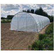 Magnum - Serre tunnel professionnelle Natural - largeur 4m, structure renforcée pour cultures sur ficelles_3