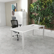 Bureau Professionnel Tempo Mobel Linea. - 120, Alu, Blanc, Non_0