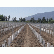 Planteuse mécanisée Révolution avec fertilisation intégrée