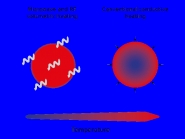 Chauffage homogène SAIREM - Technologie micro-ondes et radiofréquences pour séchage et transformation industrielle_3