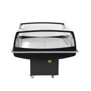 Bac réfrigéré de présentation avec 2 portes vitrés coulissantes_3