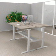Bureau bench réglable en hauteur UP - Mobel Linea - Non, 180, Alu, Chêne grisé_0