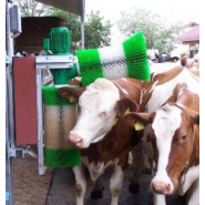 Brosse automatique montée sur parallélogramme pour vaches - AGRIEST ELEVAGE - Adaptée à la taille de l'animal_3