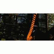 202T Remorque forestière - Kesla OYJ - 900kg - Chargeuse avec portée de 6.15m et système de commande avancé_3