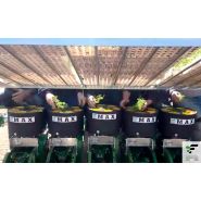 Max-m - planteuse Fedelemario - distance inter-plants de 15 à 162 cm - pour repiquage sur sol paillé ou nu_3