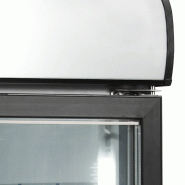 Congélateur vertical vitré NF5000G (1149 / 1079 L) Blanc TEFCOLD_3