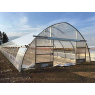 Serre à travée unique  idéale pour les agriculteurs et les amateurs - Tunnelart_3