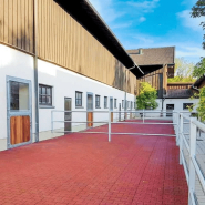 Dalles écurie en caoutchouc drainant - Govatks - 50 x 100 cm - Rougebrun_3