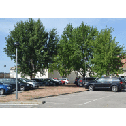 Luminaire Globus ILGL - gamme Essentials - design élégant et fonctionnel - jusqu'à 142 lm/W - idéal pour applications résidentielles_3