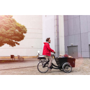 Arceau 2 vélos cargo robuste et personnalisable - VelCargo - Sécurisation pour biporteurs et triporteurs_3