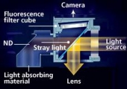 Microscope droit motorisé Nikon Ni-E - fluorescence multi-couleurs avec objectifs CFI Plan Apochromatique Lambda_3