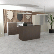 Banque d'accueil économique Z2 Officity - Compacte et chaleureuse ! - Non, 106, Eucalyptus_0