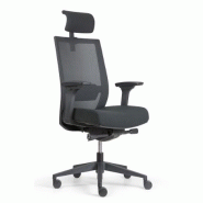 Fauteuil ergonomique Ergo - mécanisme synchrone, soutien lombaire réglable, accoudoirs et têtière ajustables, dossier en résille noire_4