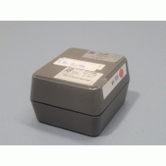 Poids d'étalonnage ZWIEBEL 100g classe F1 INOX_3