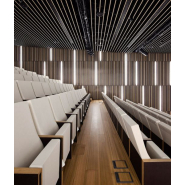 Siège de  spectacle en mousse injectée pour un confort optimal_3