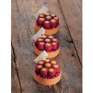 Mini Scarlet - Moule en silicone Pavoni Italia - 8 empreintes_3