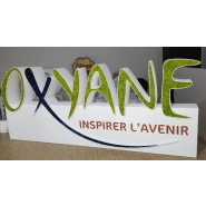 Lettres et logo végétales 3D en polystyrène - Logo, Lichen scandinave pour l'intérieur uniquement, Crème_3