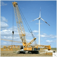 Lr 1130 grue sur chenilles_3